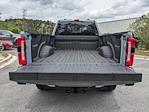 2025 Ford F-350 Crew Cab SRW 4WD Pickup for sale #00T61918 - photo 13