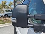 2024 Ford F-150 SuperCrew Cab RWD Pickup for sale #00T72796 - photo 11