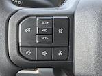 2025 Ford F-250 Crew Cab 4WD Pickup for sale #00T91553 - photo 24