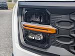 2024 Ford F-150 Regular Cab RWD Pickup for sale #00T92745 - photo 10