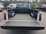 2024 Ford F-150 Regular Cab RWD Pickup for sale #00T92745 - photo 13
