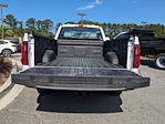 2024 Ford F-150 Regular Cab RWD Pickup for sale #00T92785 - photo 13