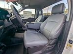 2024 Ford F-150 Regular Cab RWD Pickup for sale #00T92800 - photo 17