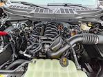 2024 Ford F-150 SuperCrew Cab 4WD Pickup for sale #P00226 - photo 11