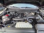 2024 Ford F-150 SuperCrew Cab 4x4 Pickup for sale #P01162 - photo 10
