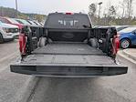 2024 Ford F-150 SuperCrew Cab 4x4 Pickup for sale #P01162 - photo 14