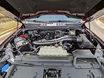 2024 Ford F-150 SuperCrew Cab 4WD Pickup for sale #P12057 - photo 10