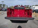 2024 Ford F-150 SuperCrew Cab 4WD Pickup for sale #P12057 - photo 14