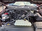 2024 Ford F-150 SuperCrew Cab 4WD Pickup for sale #P24343 - photo 10