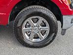 2024 Ford F-150 SuperCrew Cab 4WD Pickup for sale #P24343 - photo 12