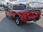 2024 Ford F-150 SuperCrew Cab 4WD Pickup for sale #P24343 - photo 6