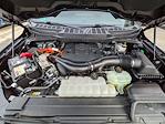2023 Ford F-150 SuperCrew Cab 4WD Pickup for sale #P27441 - photo 10
