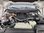 2023 Ford F-150 SuperCrew Cab 4WD Pickup for sale #P43789 - photo 10