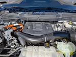 2023 Ford F-150 SuperCrew Cab 4WD Pickup for sale #P45898 - photo 10