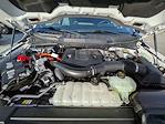 2023 Ford F-150 SuperCrew Cab 4WD Pickup for sale #P67483 - photo 10