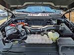 2023 Ford F-150 SuperCrew Cab 4WD Pickup for sale #P74266 - photo 10