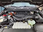 Used 2023 Ford F-150 XLT SuperCrew Cab for sale #P84757 - photo 11