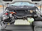 Used 2023 Ford F-150 XLT SuperCrew Cab for sale #P85123 - photo 10