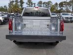 2025 Ford F-150 SuperCrew Cab RWD Pickup for sale #PA00032 - photo 14