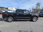 2024 Ford F-150 SuperCrew Cab 4WD Pickup for sale #PA01173 - photo 3