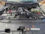 2026 Ford F-250 Crew Cab 4WD Pickup for sale #R00281 - photo 14