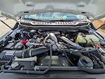 2026 Ford F-250 Crew Cab 4WD Pickup for sale #R00319 - photo 10