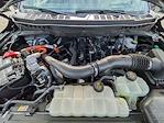2025 Ford F-150 SuperCrew Cab 4WD Pickup for sale #R74299 - photo 10