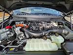 2025 Ford F-150 SuperCrew Cab 4WD Pickup for sale #R74313 - photo 10