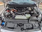 2025 Ford F-150 SuperCrew Cab 4WD Pickup for sale #R74985 - photo 14