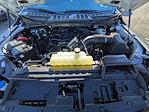 New 2026 Ford F-150 XLT SuperCrew Cab for sale #T00274 - photo 13