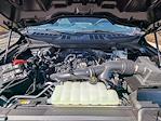 New 2025 Ford F-150 STX SuperCrew Cab Pickup for sale #T08378 - photo 10