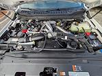New 2026 Ford F-250 XL Super Cab for sale #T10033 - photo 14