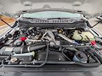 New 2026 Ford F-250 XL Super Cab for sale #T10645 - photo 10