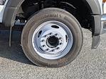 New 2025 Ford F-450 Regular Cab Service Truck for sale #T19263 - photo 12