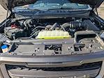 New 2025 Ford F-150 XLT SuperCrew Cab for sale #T20475 - photo 13