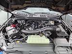 New 2026 Ford F-150 XLT SuperCrew Cab for sale #T22182 - photo 10