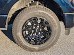 New 2026 Ford F-150 XLT SuperCrew Cab for sale #T24800 - photo 11