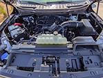 New 2026 Ford F-150 XLT SuperCrew Cab for sale #T24800 - photo 13