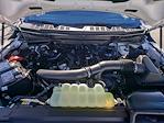 New 2025 Ford F-150 Tremor SuperCrew Cab for sale #T28152 - photo 10