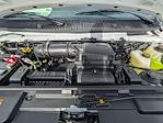 New 2026 Ford E-450 Box Van for sale #T28341 - photo 8