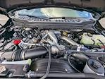 New 2026 Ford F-250 XLT Crew Cab 4WD Pickup for sale #T36771 - photo 10