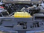 2025 Ford F-150 SuperCrew Cab 4WD Pickup for sale #T42351 - photo 14