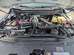 2024 Ford F-250 Crew Cab 4WD Roush Pickup for sale #T47189A - photo 13