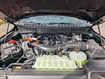 New 2025 Ford F-150 Platinum SuperCrew Cab 4x4 Pickup for sale #T48024 - photo 10