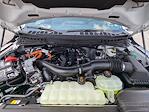 New 2025 Ford F-150 Platinum SuperCrew Cab 4x4 Pickup for sale #T48113 - photo 10