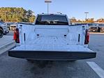 New 2025 Ford F-150 STX SuperCrew Cab for sale #T49445 - photo 15