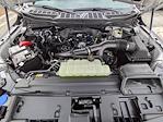 New 2025 Ford F-150 STX SuperCrew Cab for sale #T53548 - photo 14