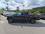 New 2025 Ford F-150 Tremor SuperCrew Cab 4x4 Pickup for sale #T54495 - photo 7