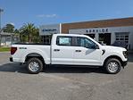 New 2025 Ford F-150 XL SuperCrew Cab 4x4 Pickup for sale #T56877 - photo 4