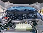 New 2025 Ford F-150 Tremor SuperCrew Cab 4WD Pickup for sale #T70154 - photo 10